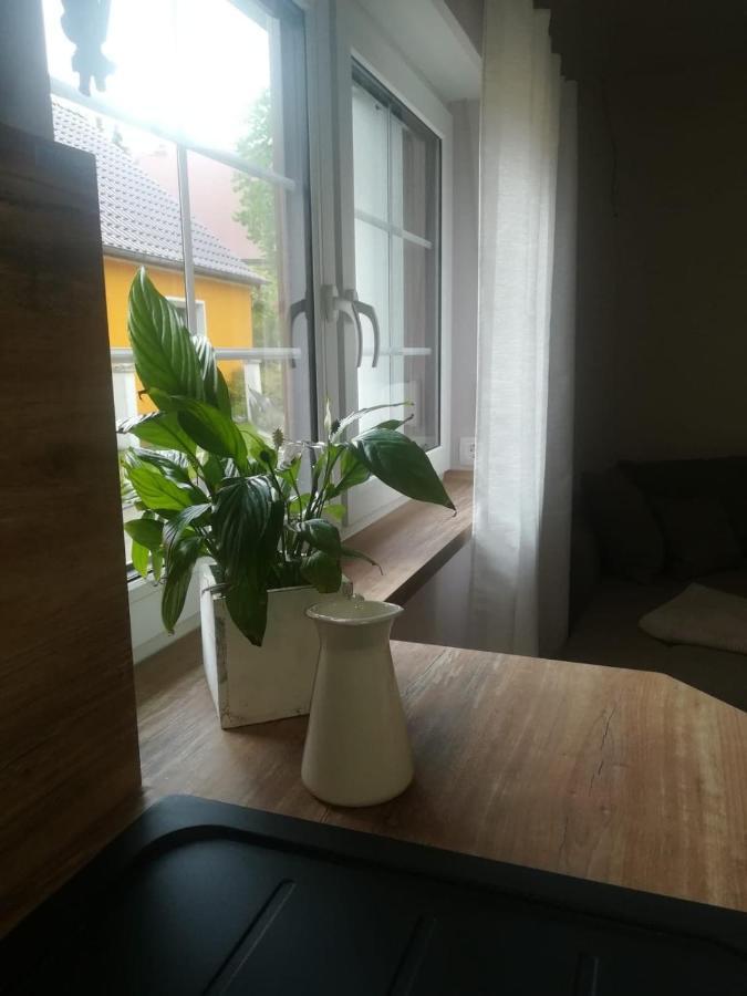 Landhaus Huchatz บวร์ก ภายนอก รูปภาพ